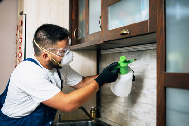 Best Pest Control Near Me  in Mathews, VA
