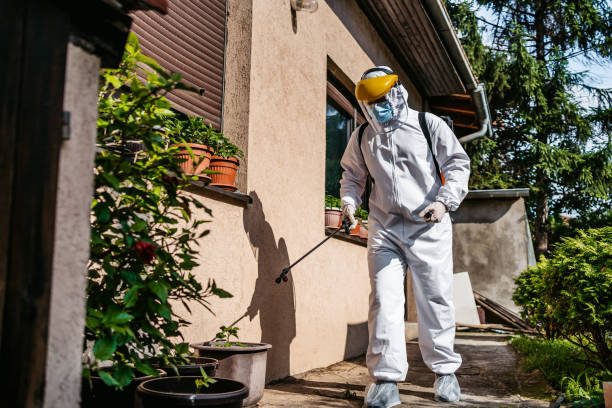 Pest Prevention Services in Mathews, VA