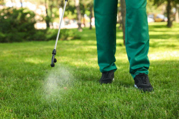 Wildlife Control Services in Mathews, VA